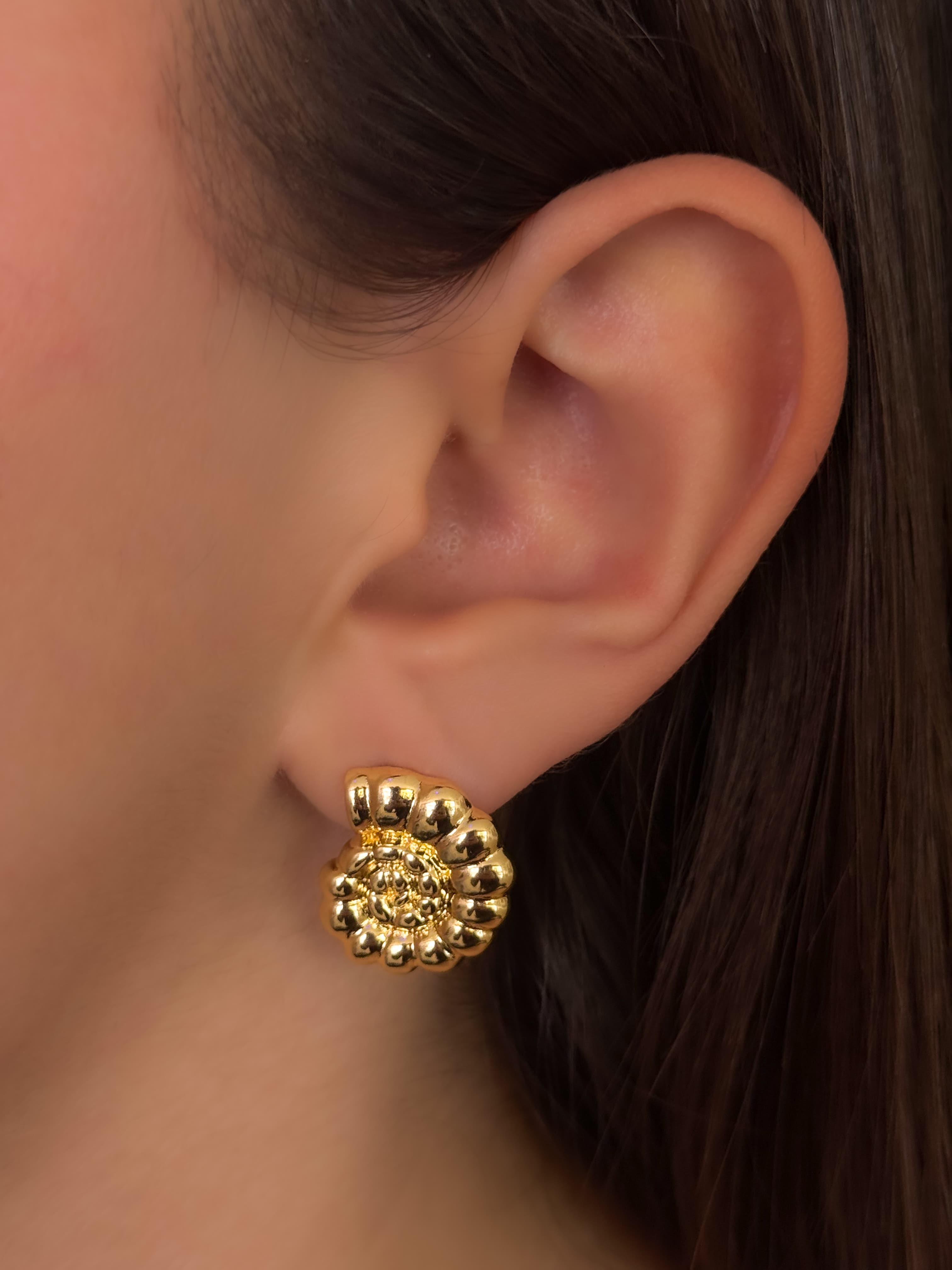 ARETE CARACOL