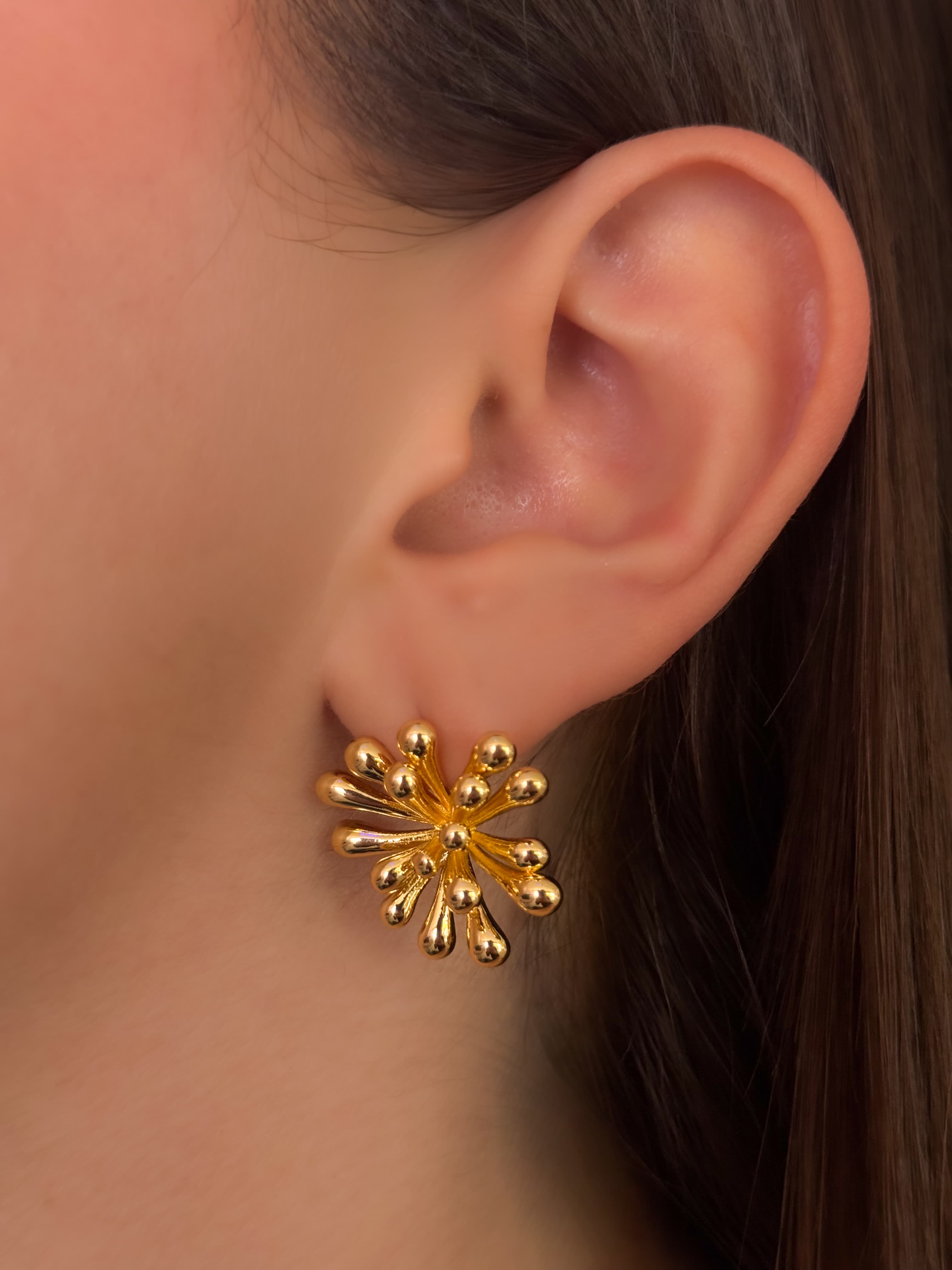 ARETE ARRECIFE