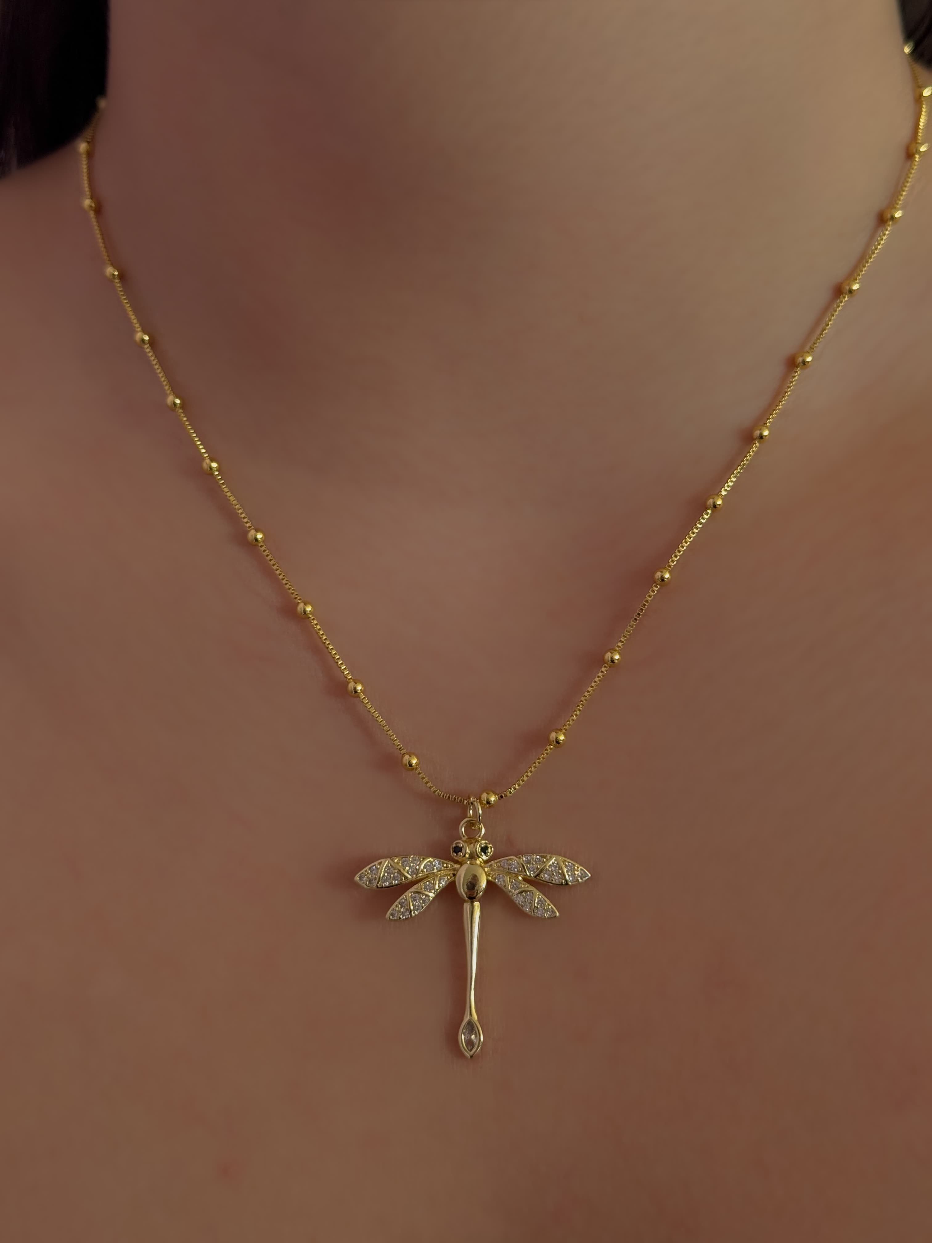 Collar Fly