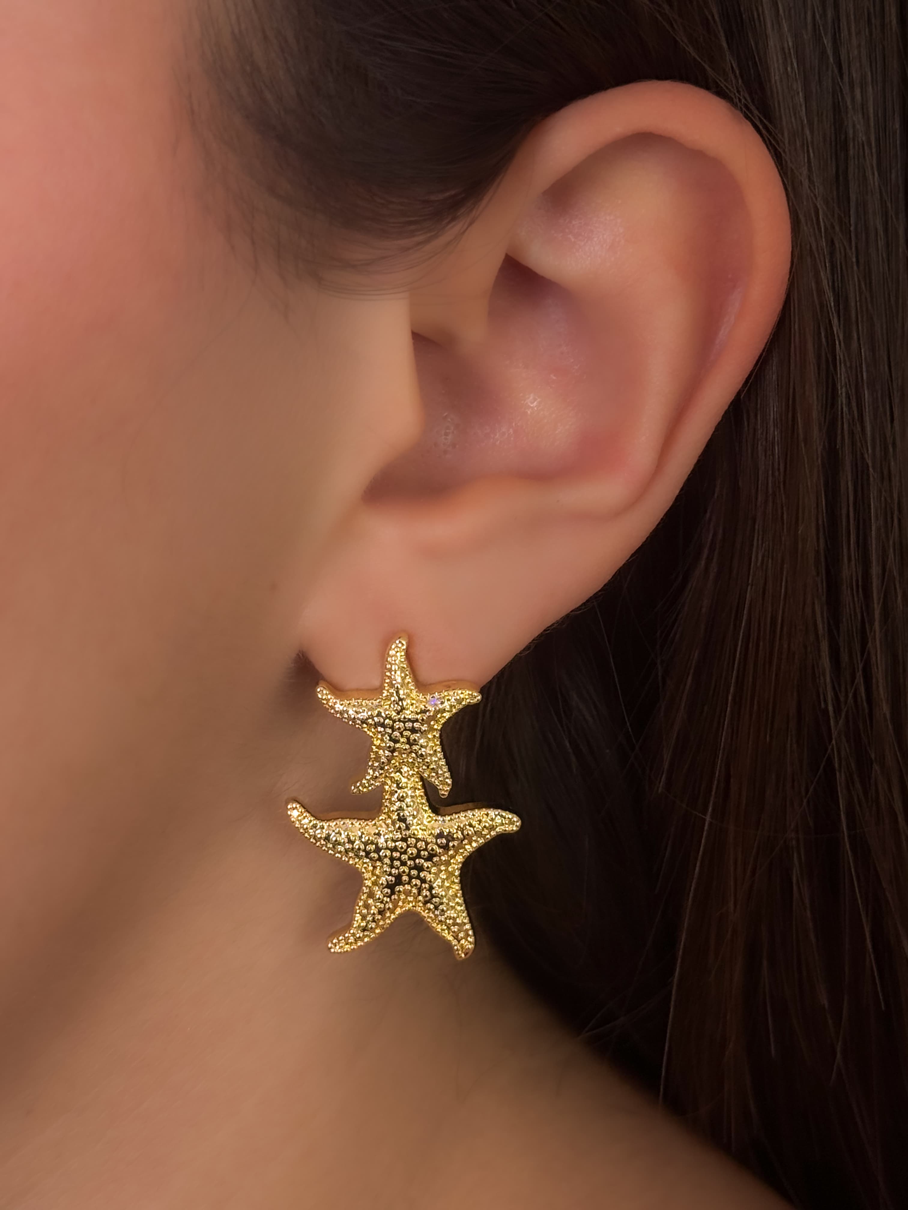 ARETE ARIEL