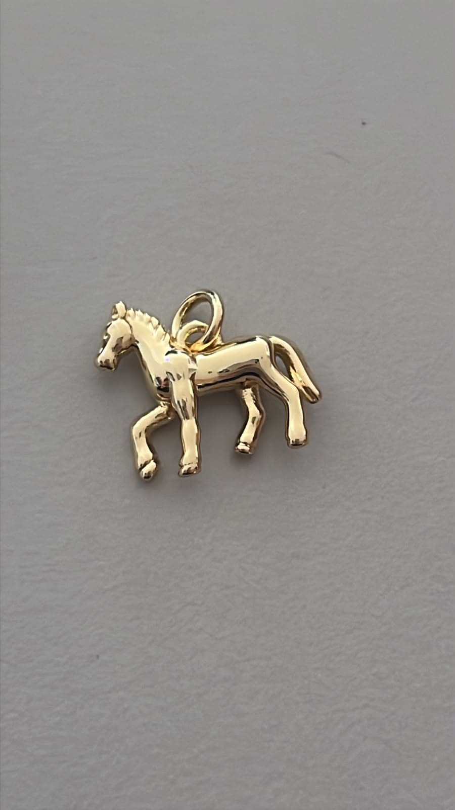 DIJE CABALLO